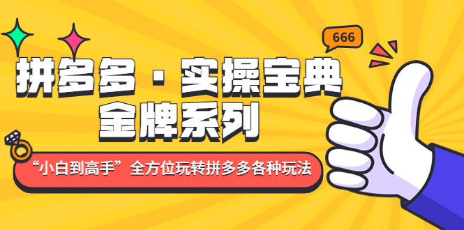 拼多多·实操宝典：金牌系列“小白到高手”带你全方位玩转拼多多各种玩法风钥吧-网创项目资源站-副业项目-创业项目-搞钱项目风钥吧