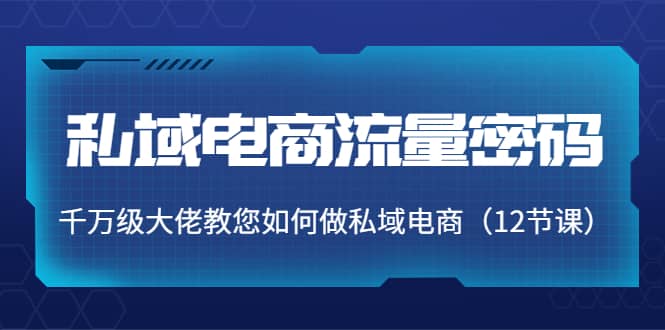 私域电商流量密码：千万级大佬教您如何做私域电商（12节课）风钥吧-网创项目资源站-副业项目-创业项目-搞钱项目风钥吧