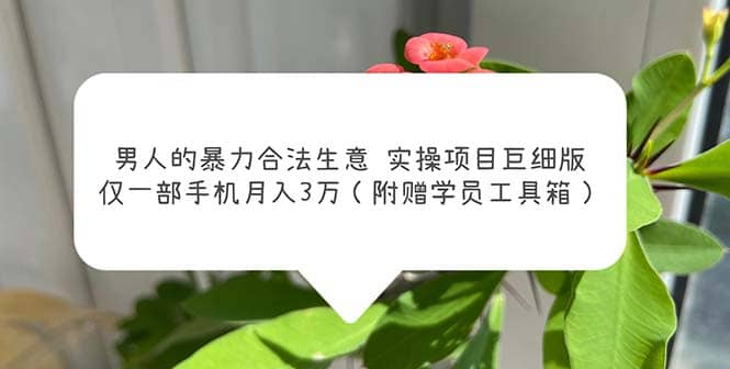 男人的暴力合法生意实操项目巨细版：仅一部手机月入3w（附赠学员工具箱）风钥吧-网创项目资源站-副业项目-创业项目-搞钱项目风钥吧