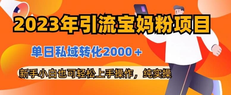 2023年引流宝妈粉项目，单日私域转化2000＋，新手小白也可轻松上手操作，纯实操风钥吧-网创项目资源站-副业项目-创业项目-搞钱项目风钥吧