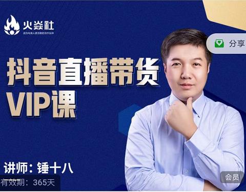 锤十八-抖音直播带货VIP课，专注直播带货有效盈利模式风钥吧-网创项目资源站-副业项目-创业项目-搞钱项目风钥吧