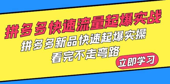 拼多多-快速流量起爆实战，拼多多新品快速起爆实操，看完不走弯路风钥吧-网创项目资源站-副业项目-创业项目-搞钱项目风钥吧