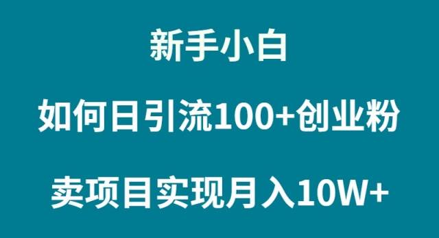 新手小白如何通过卖项目实现月入10W+风钥吧-网创项目资源站-副业项目-创业项目-搞钱项目风钥吧