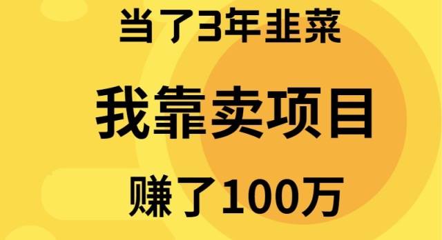 当了3年韭菜，我靠卖项目赚了100万风钥吧-网创项目资源站-副业项目-创业项目-搞钱项目风钥吧