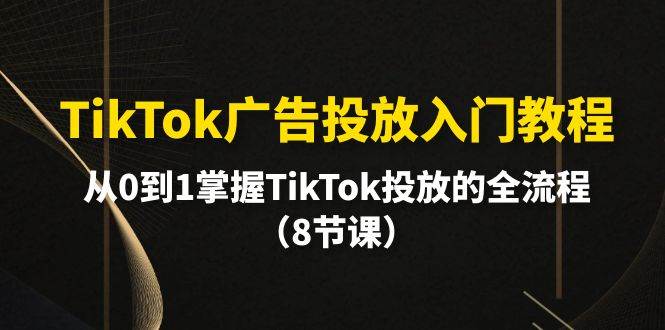 TikTok广告投放入门教程，从0到1掌握TikTok投放的全流程（8节课）风钥吧-网创项目资源站-副业项目-创业项目-搞钱项目风钥吧