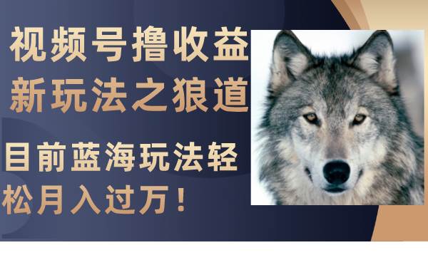 视频号撸收益新玩法之狼道，目前蓝海玩法轻松月入过万！风钥吧-网创项目资源站-副业项目-创业项目-搞钱项目风钥吧