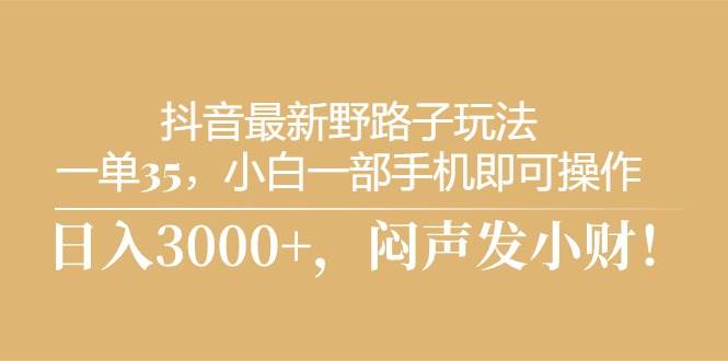 抖音最新野路子玩法，一单35，小白一部手机即可操作，，日入3000+，闷…风钥吧-网创项目资源站-副业项目-创业项目-搞钱项目风钥吧