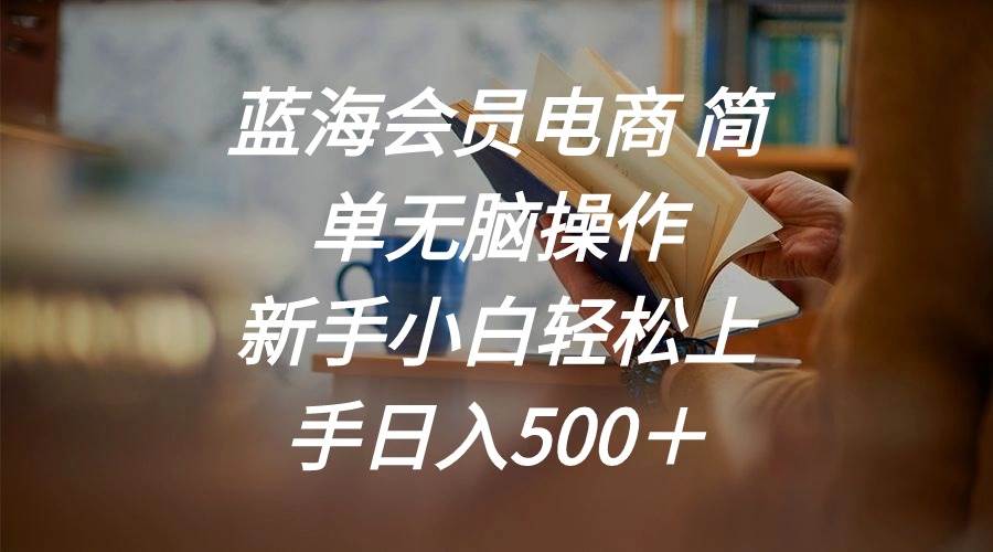 蓝海会员电商 简单无脑操作 新手小白轻松上手日入500＋风钥吧-网创项目资源站-副业项目-创业项目-搞钱项目风钥吧