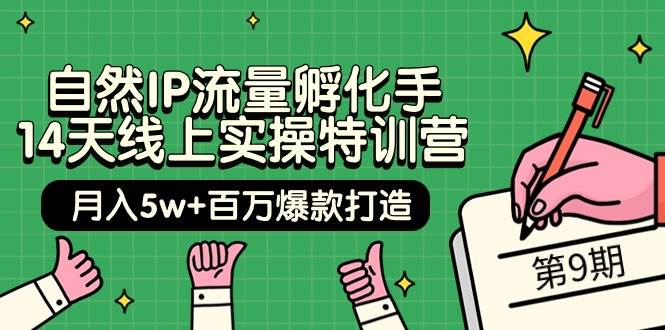 自然IP流量孵化手 14天线上实操特训营【第9期】月入5w+百万爆款打造 (74节)风钥吧-网创项目资源站-副业项目-创业项目-搞钱项目风钥吧
