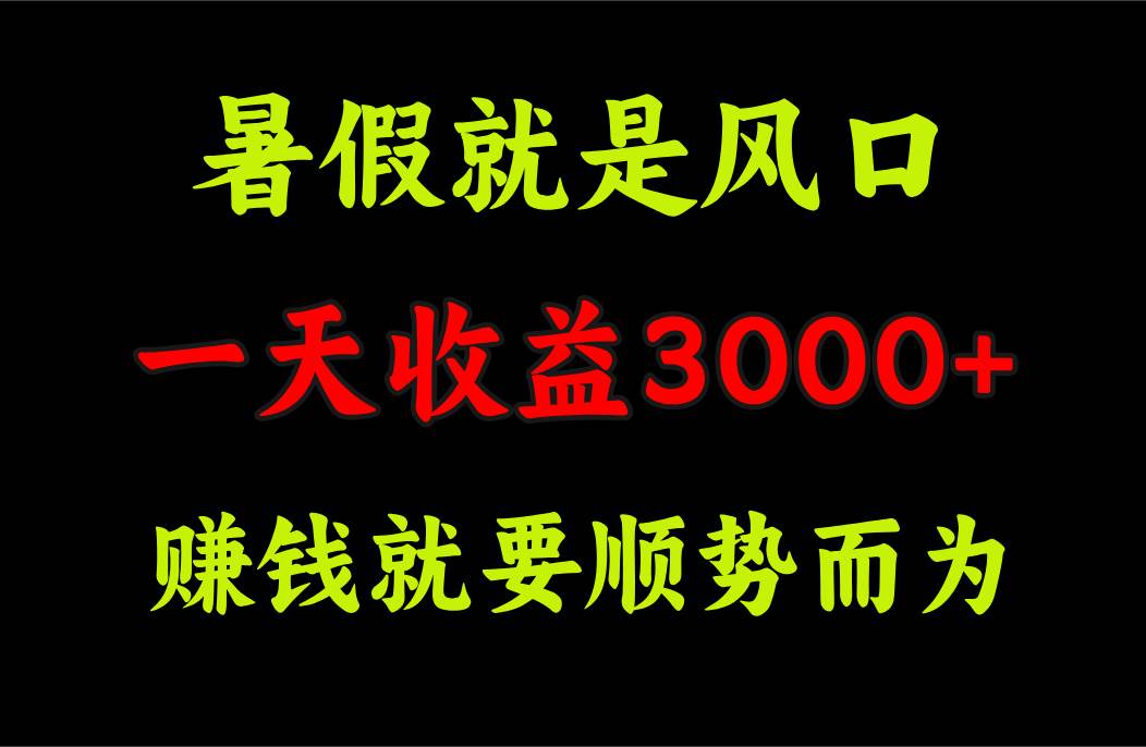一天收益3000+ 赚钱就是顺势而为，暑假就是风口风钥吧-网创项目资源站-副业项目-创业项目-搞钱项目风钥吧