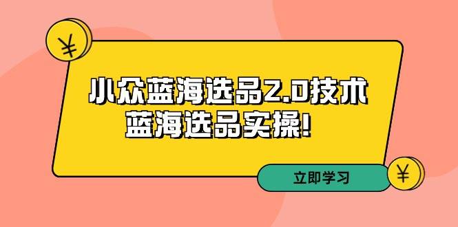 拼多多培训第33期：小众蓝海选品2.0技术-蓝海选品实操！风钥吧-网创项目资源站-副业项目-创业项目-搞钱项目风钥吧