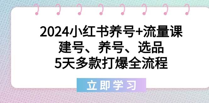 2024小红书养号+流量课：建号、养号、选品，5天多款打爆全流程风钥吧-网创项目资源站-副业项目-创业项目-搞钱项目风钥吧