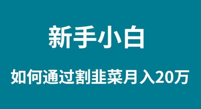 新手小白如何通过割韭菜月入 20W风钥吧-网创项目资源站-副业项目-创业项目-搞钱项目风钥吧