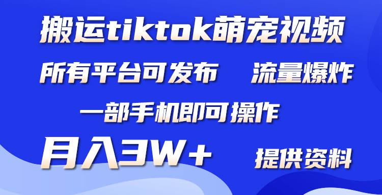 搬运Tiktok萌宠类视频，一部手机即可。所有短视频平台均可操作，月入3W+风钥吧-网创项目资源站-副业项目-创业项目-搞钱项目风钥吧