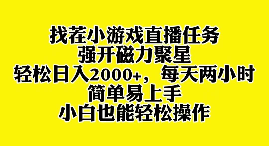 找茬小游戏直播，强开磁力聚星，轻松日入2000+，小白也能轻松上手风钥吧-网创项目资源站-副业项目-创业项目-搞钱项目风钥吧