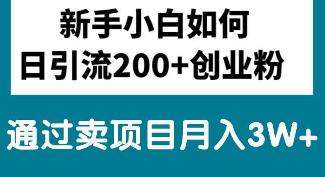 新手小白日引流200+创业粉,通过卖项目月入3W+风钥吧-网创项目资源站-副业项目-创业项目-搞钱项目风钥吧