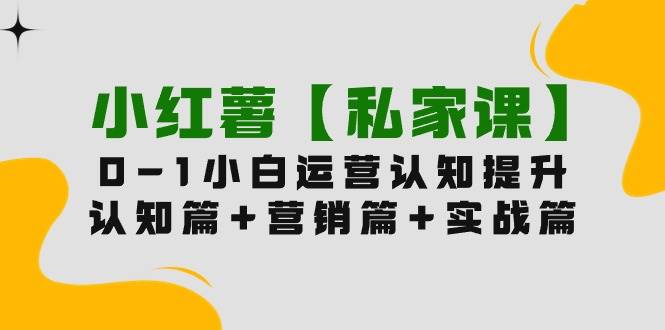 小红薯【私家课】0-1玩赚小红书内容营销，认知篇+营销篇+实战篇（11节课）风钥吧-网创项目资源站-副业项目-创业项目-搞钱项目风钥吧