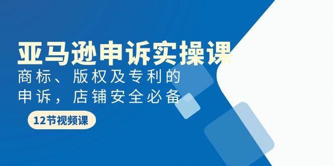 亚马逊-申诉实战课，商标、版权及专利的申诉，店铺安全必备风钥吧-网创项目资源站-副业项目-创业项目-搞钱项目风钥吧
