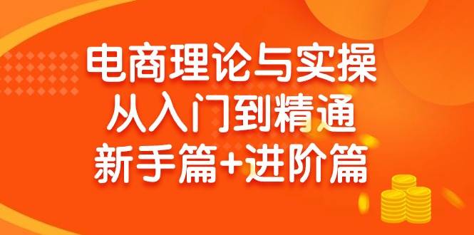 电商理论与实操从入门到精通 新手篇+进阶篇风钥吧-网创项目资源站-副业项目-创业项目-搞钱项目风钥吧
