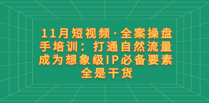 11月短视频·全案操盘手培训：打通自然流量 成为想象级IP必备要素 全是干货风钥吧-网创项目资源站-副业项目-创业项目-搞钱项目风钥吧