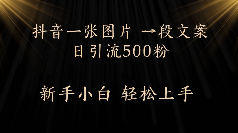 抖音一张图片，一段文案日引流500粉，新手小白 轻松上手风钥吧-网创项目资源站-副业项目-创业项目-搞钱项目风钥吧