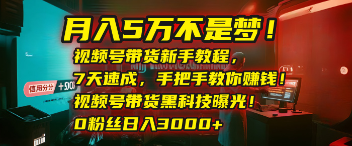 月入5万不是梦！视频号带货新手教程，7天速成，手把手教你赚钱！视频号带货黑科技曝光！0粉丝日入3000+风钥吧-网创项目资源站-副业项目-创业项目-搞钱项目风钥吧